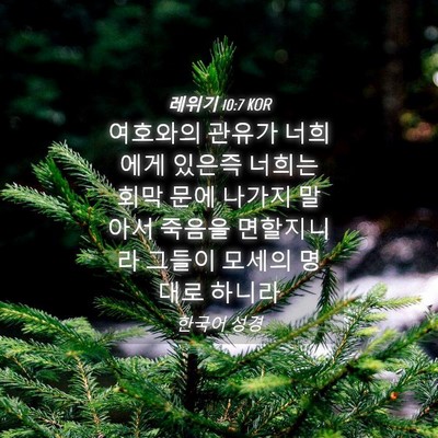 Picture 04 - 레위기 10:7 KOR - 여호와의 관유가 너희에게 있은즉 - Bible Verse Picture