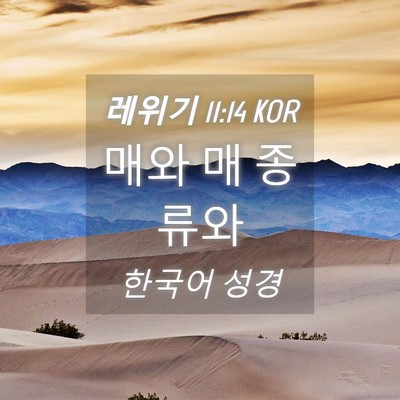 Picture 04 - 레위기 11:14 KOR - 매와 매 - Bible Verse Picture