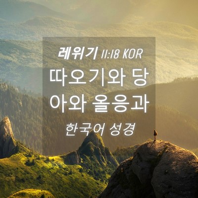 Picture 04 - 레위기 11:18 KOR - 따오기와 당아와 - Bible Verse Picture