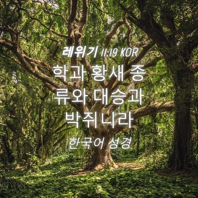 Picture 04 - 레위기 11:19 KOR - 학과 황새 종류와 대승과 - Bible Verse Picture