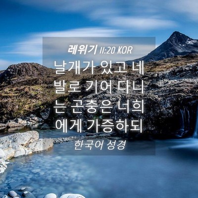 Picture 04 - 레위기 11:20 KOR - 날개가 있고 네 발로 기어 다니는 - Bible Verse Picture