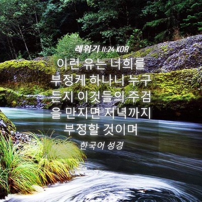 Picture 04 - 레위기 11:24 KOR - 이런 유는 너희를 부정케 하나니 - Bible Verse Picture