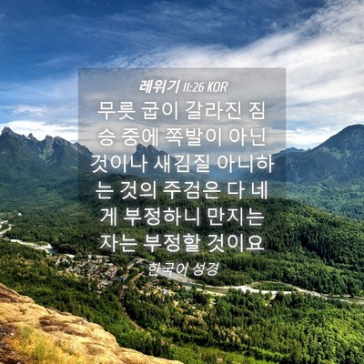 Picture 04 - 레위기 11:26 KOR - 무릇 굽이 갈라진 짐승 중에 쪽발이 - Bible Verse Picture