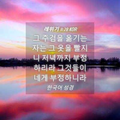 Picture 04 - 레위기 11:28 KOR - 그 주검을 옮기는 자는 그 옷을 - Bible Verse Picture