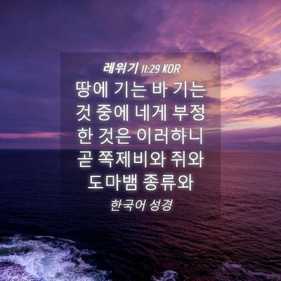 Picture 04 - 레위기 11:29 KOR - 땅에 기는 바 기는 것 중에 네게 - Bible Verse Picture
