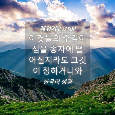 Picture 04 - 레위기 11:37 KOR - 이것들의 주검이 심을 종자에 - Bible Verse Picture