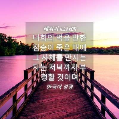 Picture 04 - 레위기 11:39 KOR - 너희의 먹을 만한 짐승이 죽은 때에 - Bible Verse Picture