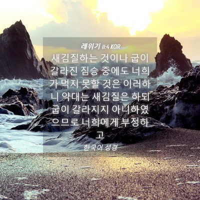 Picture 04 - 레위기 11:4 KOR - 새김질하는 것이나 굽이 갈라진 짐승 - Bible Verse Picture