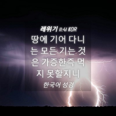 Picture 04 - 레위기 11:41 KOR - 땅에 기어 다니는 모든 기는 것은 - Bible Verse Picture