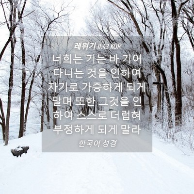 Picture 04 - 레위기 11:43 KOR - 너희는 기는 바 기어 다니는 것을 - Bible Verse Picture