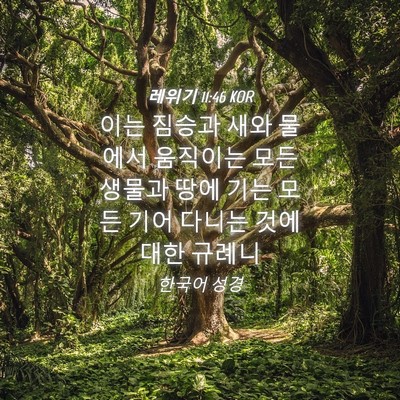 Picture 04 - 레위기 11:46 KOR - 이는 짐승과 새와 물에서 움직이는 - Bible Verse Picture