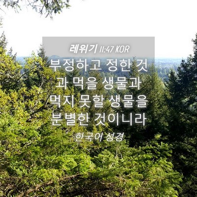 Picture 04 - 레위기 11:47 KOR - 부정하고 정한 것과 먹을 생물과 - Bible Verse Picture