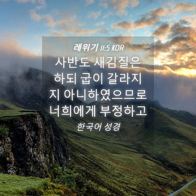 Picture 04 - 레위기 11:5 KOR - 사반도 새김질은 하되 굽이 갈라지지 - Bible Verse Picture