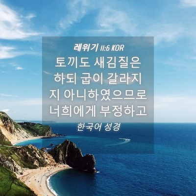 Picture 04 - 레위기 11:6 KOR - 토끼도 새김질은 하되 굽이 갈라지지 - Bible Verse Picture