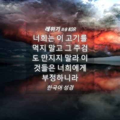 Picture 04 - 레위기 11:8 KOR - 너희는 이 고기를 먹지 말고 그 - Bible Verse Picture