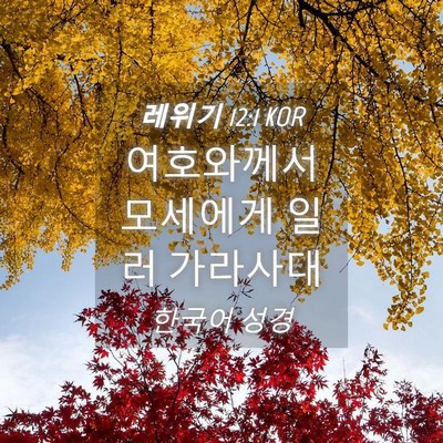 Picture 04 - 레위기 12:1 KOR - 여호와께서 모세에게 일러 - Bible Verse Picture