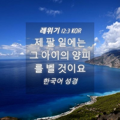 Picture 04 - 레위기 12:3 KOR - 제 팔 일에는 그 아이의 양피를 벨 - Bible Verse Picture