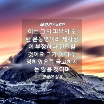 Picture 04 - 레위기 13:11 KOR - 이는 그의 피부의 오랜 문둥병이라 - Bible Verse Picture