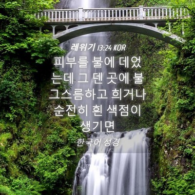 Picture 04 - 레위기 13:24 KOR - 피부를 불에 데었는데 그 덴 곳에 - Bible Verse Picture