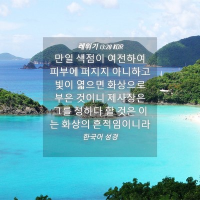 Picture 04 - 레위기 13:28 KOR - 만일 색점이 여전하여 피부에 퍼지지 - Bible Verse Picture