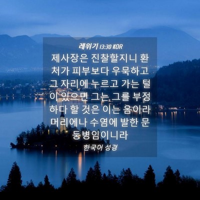 Picture 04 - 레위기 13:30 KOR - 제사장은 진찰할지니 환처가 - Bible Verse Picture