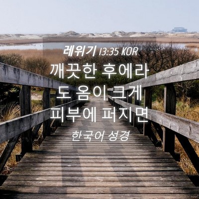 Picture 04 - 레위기 13:35 KOR - 깨끗한 후에라도 옴이 크게 피부에 - Bible Verse Picture