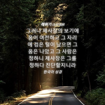 Picture 04 - 레위기 13:37 KOR - 그러나 제사장의 보기에 옴이 - Bible Verse Picture