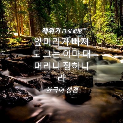 Picture 04 - 레위기 13:41 KOR - 앞머리가 빠져도 그는 이마 대머리니 - Bible Verse Picture