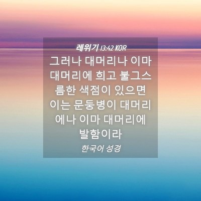 Picture 04 - 레위기 13:42 KOR - 그러나 대머리나 이마 대머리에 희고 - Bible Verse Picture