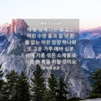 Picture 04 - 레위기 14:10 KOR - 제 팔 일에 그는 흠 없는 어린 수양 - Bible Verse Picture