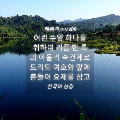 Picture 04 - 레위기 14:12 KOR - 어린 수양 하나를 취하여 기름 한 - Bible Verse Picture
