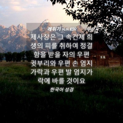 Picture 04 - 레위기 14:14 KOR - 제사장은 그 속건제 희생의 피를 - Bible Verse Picture