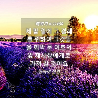 Picture 04 - 레위기 14:23 KOR - 제 팔 일에 그 결례를 위하여 - Bible Verse Picture