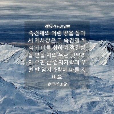 Picture 04 - 레위기 14:25 KOR - 속건제의 어린 양을 잡아서 제사장은 - Bible Verse Picture