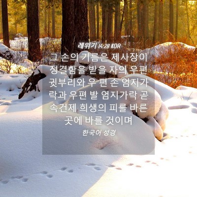 Picture 04 - 레위기 14:28 KOR - 그 손의 기름은 제사장이 정결함을 - Bible Verse Picture