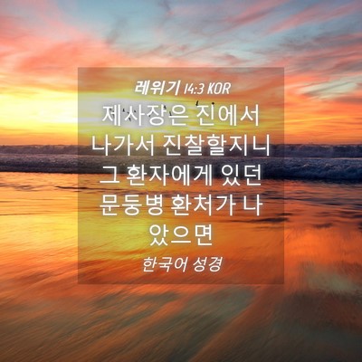 Picture 04 - 레위기 14:3 KOR - 제사장은 진에서 나가서 진찰할지니 - Bible Verse Picture