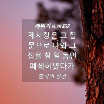 Picture 04 - 레위기 14:38 KOR - 제사장은 그 집 문으로 나와 그 집을 - Bible Verse Picture
