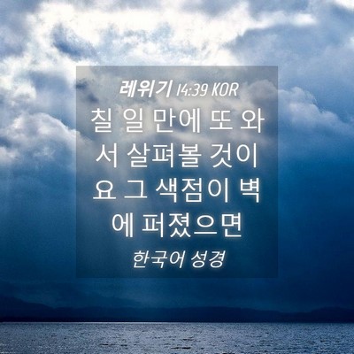 Picture 04 - 레위기 14:39 KOR - 칠 일 만에 또 와서 살펴볼 것이요 그 - Bible Verse Picture