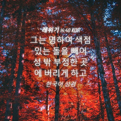 Picture 04 - 레위기 14:40 KOR - 그는 명하여 색점 있는 돌을 빼어 성 - Bible Verse Picture