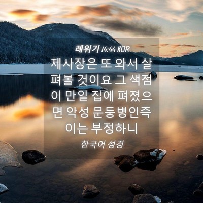 Picture 04 - 레위기 14:44 KOR - 제사장은 또 와서 살펴볼 것이요 그 - Bible Verse Picture