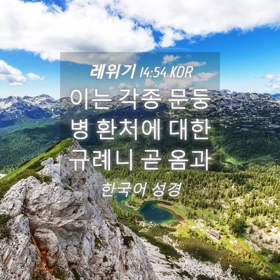 Picture 04 - 레위기 14:54 KOR - 이는 각종 문둥병 환처에 대한 - Bible Verse Picture
