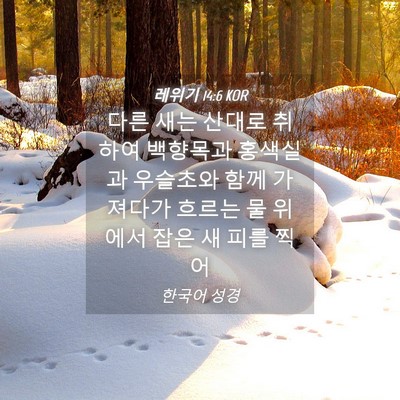 Picture 04 - 레위기 14:6 KOR - 다른 새는 산대로 취하여 백향목과 - Bible Verse Picture