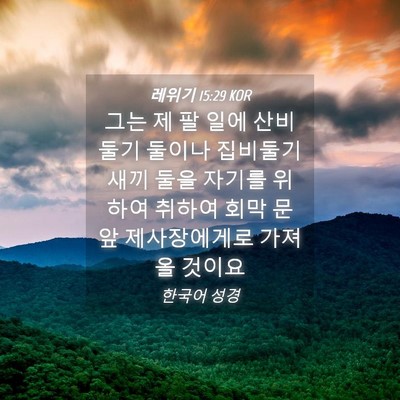 Picture 04 - 레위기 15:29 KOR - 그는 제 팔 일에 산비둘기 둘이나 - Bible Verse Picture