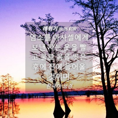 Picture 04 - 레위기 16:26 KOR - 염소를 아사셀에게 보낸 자는 옷을 - Bible Verse Picture