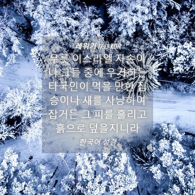 Picture 04 - 레위기 17:13 KOR - 무릇 이스라엘 자손이나 그들 중에 - Bible Verse Picture