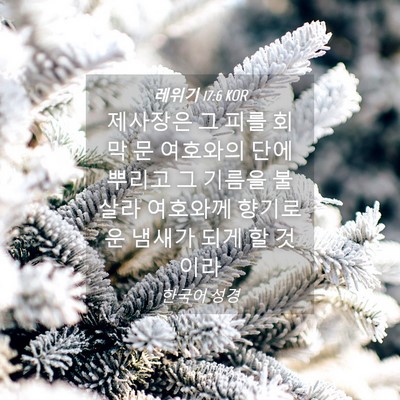 Picture 04 - 레위기 17:6 KOR - 제사장은 그 피를 회막 문 여호와의 - Bible Verse Picture