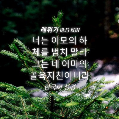 Picture 04 - 레위기 18:13 KOR - 너는 이모의 하체를 범치 말라 그는 - Bible Verse Picture