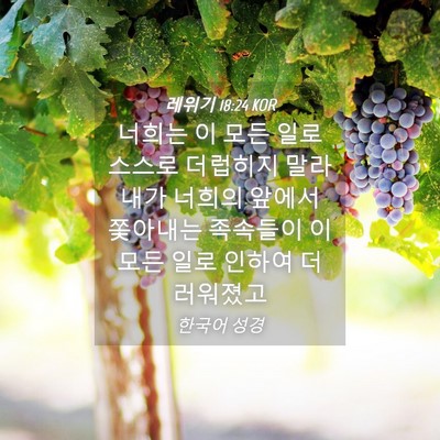 Picture 04 - 레위기 18:24 KOR - 너희는 이 모든 일로 스스로 - Bible Verse Picture