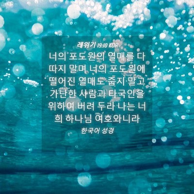 Picture 04 - 레위기 19:10 KOR - 너의 포도원의 열매를 다 따지 말며 - Bible Verse Picture