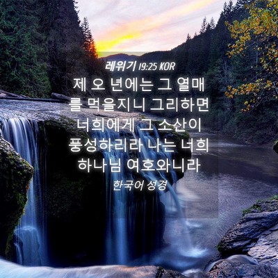 Picture 04 - 레위기 19:25 KOR - 제 오 년에는 그 열매를 먹을지니 - Bible Verse Picture